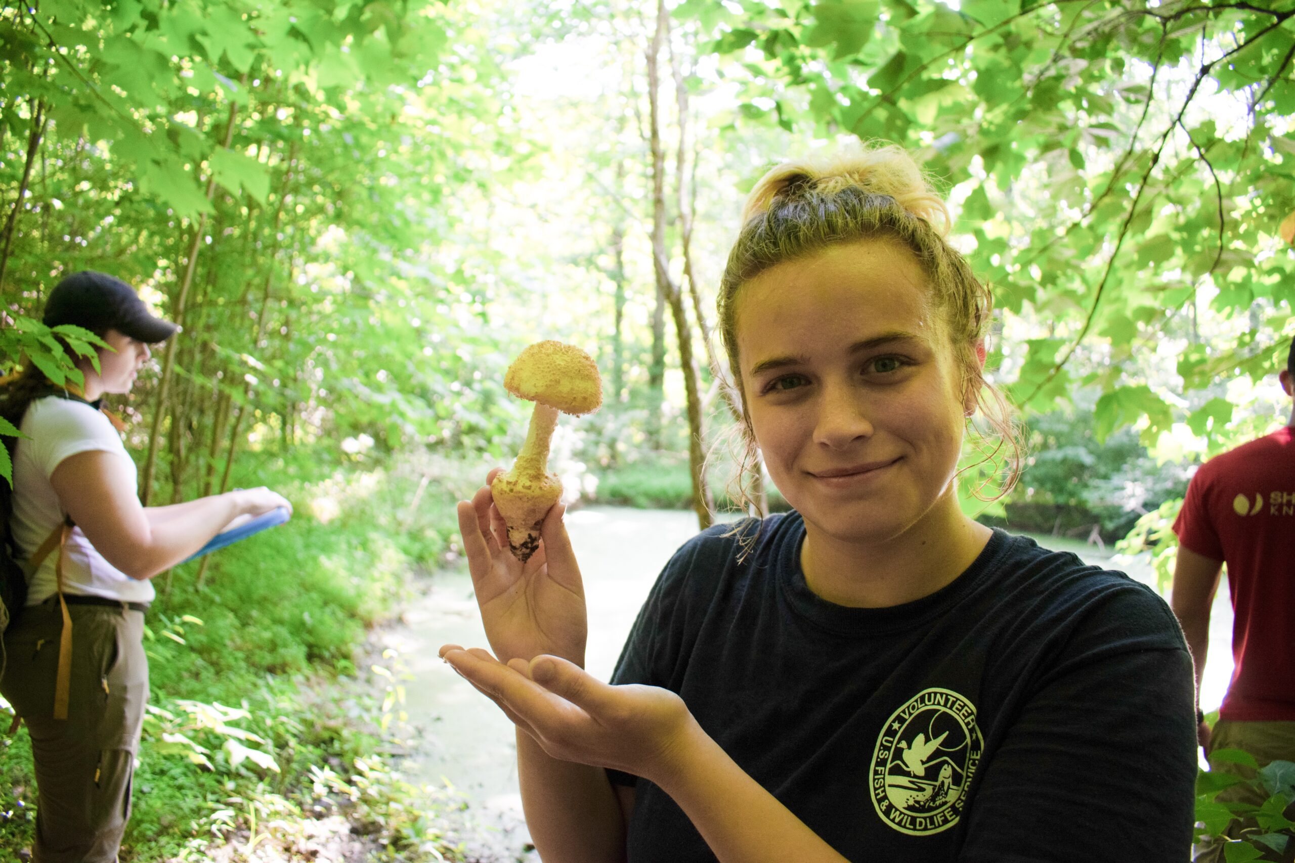 Mushroom